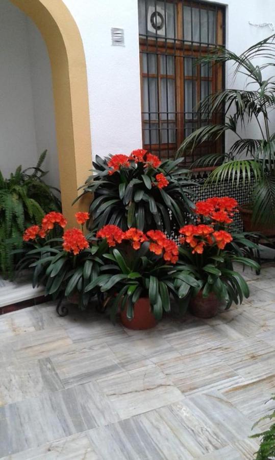 Cordoba Centro Esencia Cordobesa. Mezquita Apartment Bagian luar foto